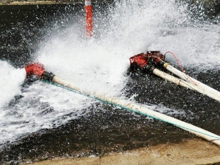 Prueba de Rendimiento